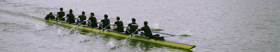 Original Feedback masthead photograph